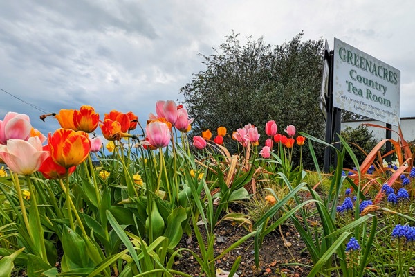 Greenacres Country Tea Room gallery 0
