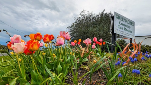 Greenacres Country Tea Room